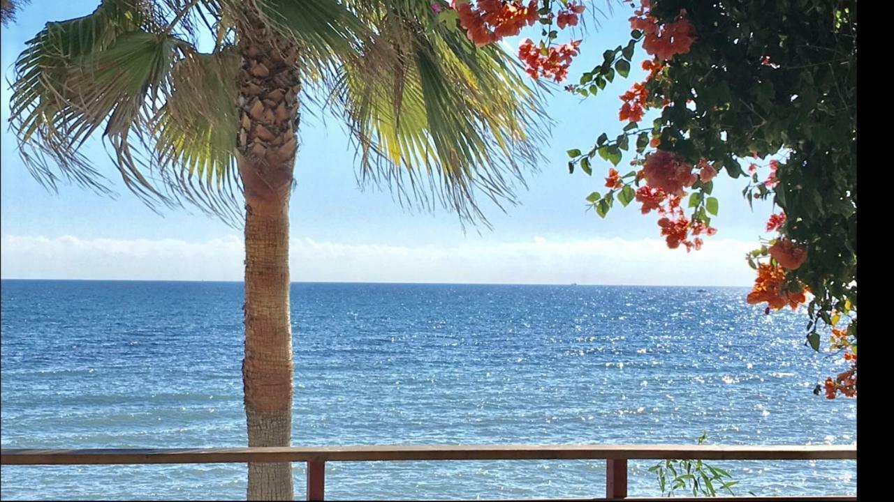 Mi Capricho A16 Beachfront Apartment Sitio de Calahonda ภายนอก รูปภาพ